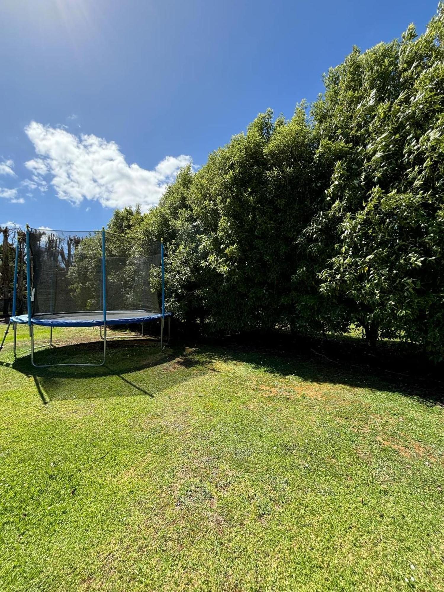 Kendall Cottage - Kerikeri New Zealand المظهر الخارجي الصورة